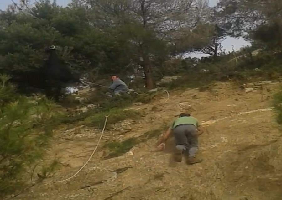goat found hanging from a telephone line 20 feet above road