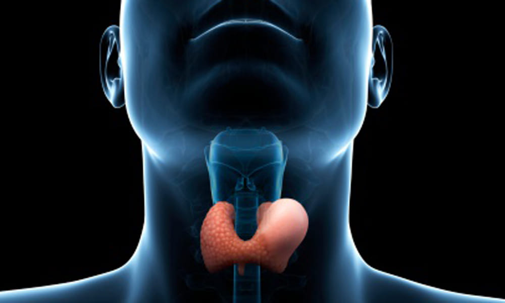 warning signs of thyroid
