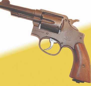 crime in meerut
