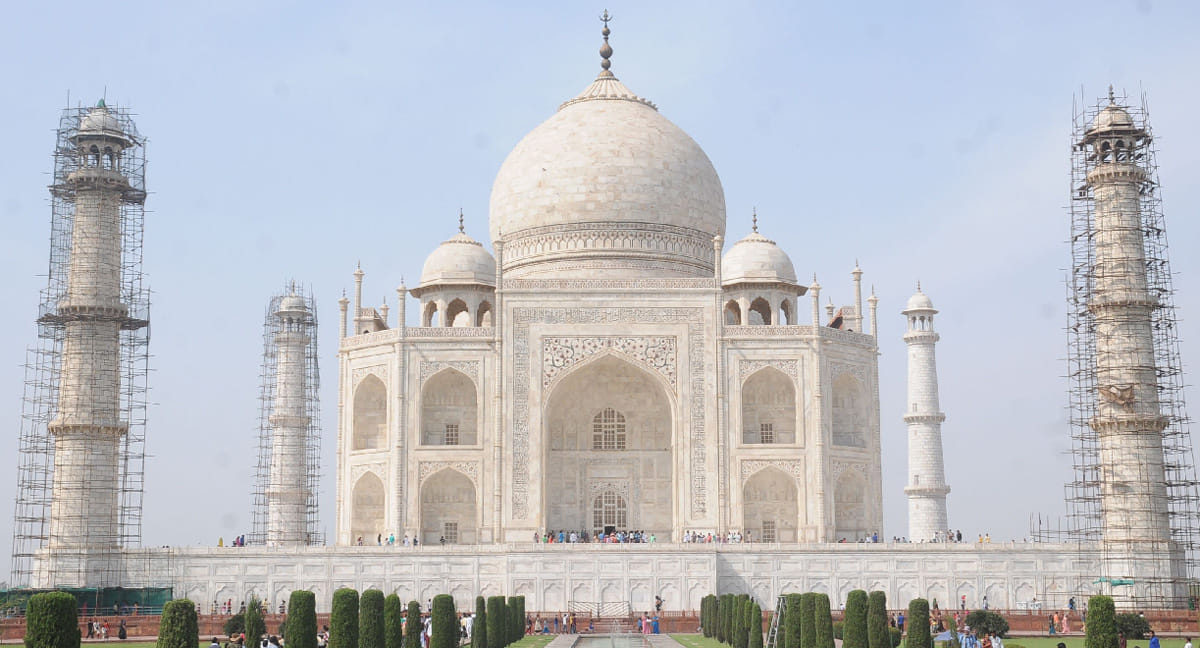 CM swung into action on insects attack on the Taj Mahal