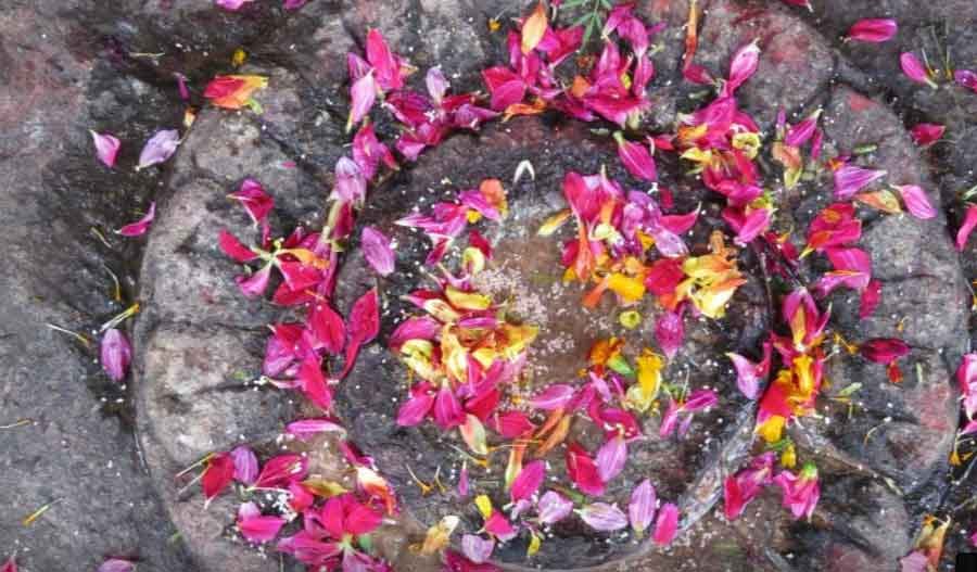 sawan 2018 offer these 4 items always lord shiv during sawan month