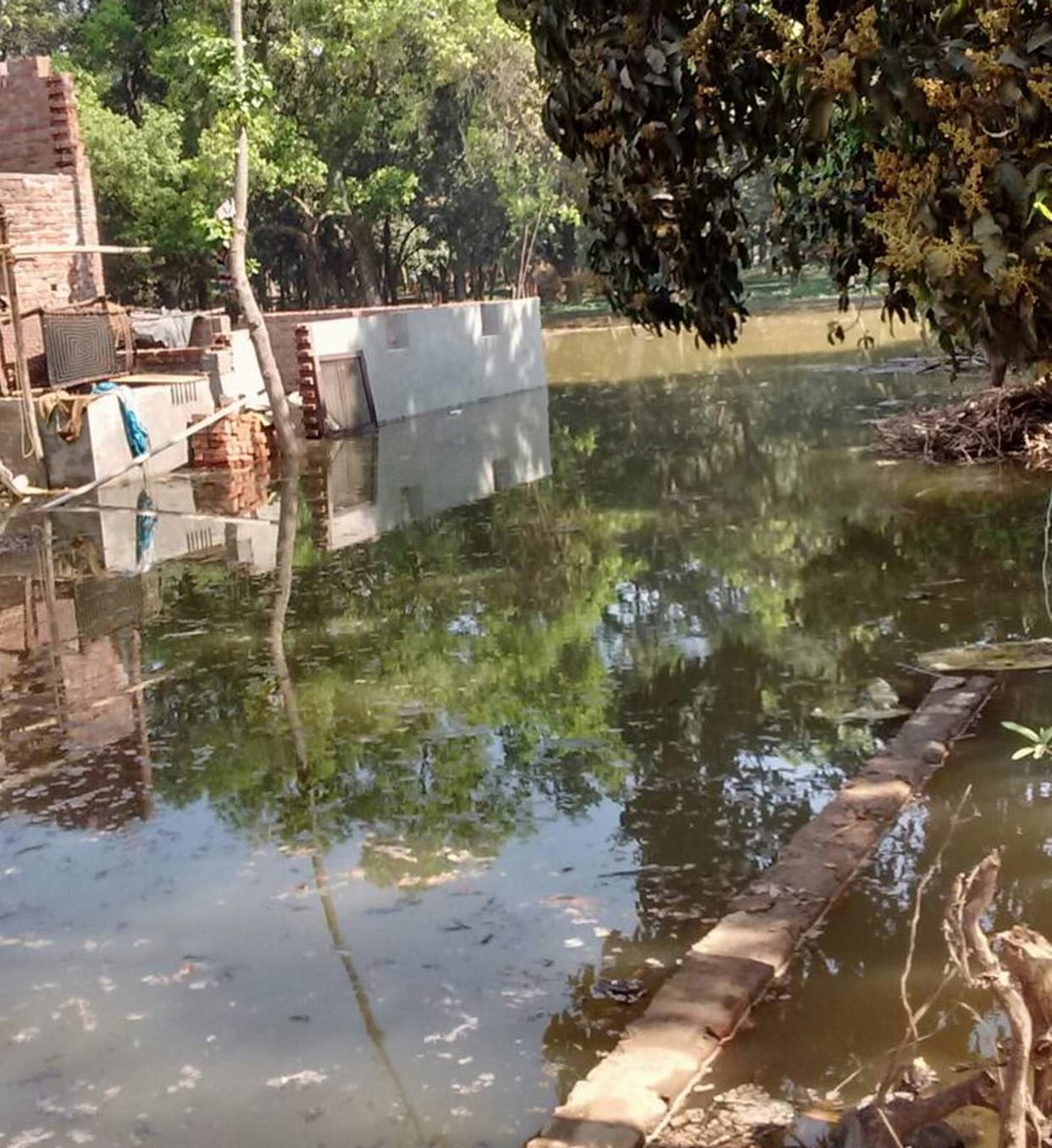 the water flowen to field due to wall of canal broken