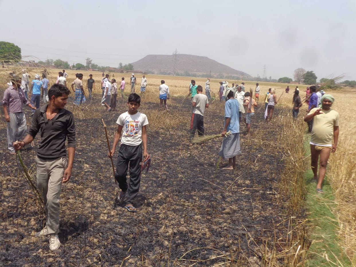 Rajnath Singh's farm fire