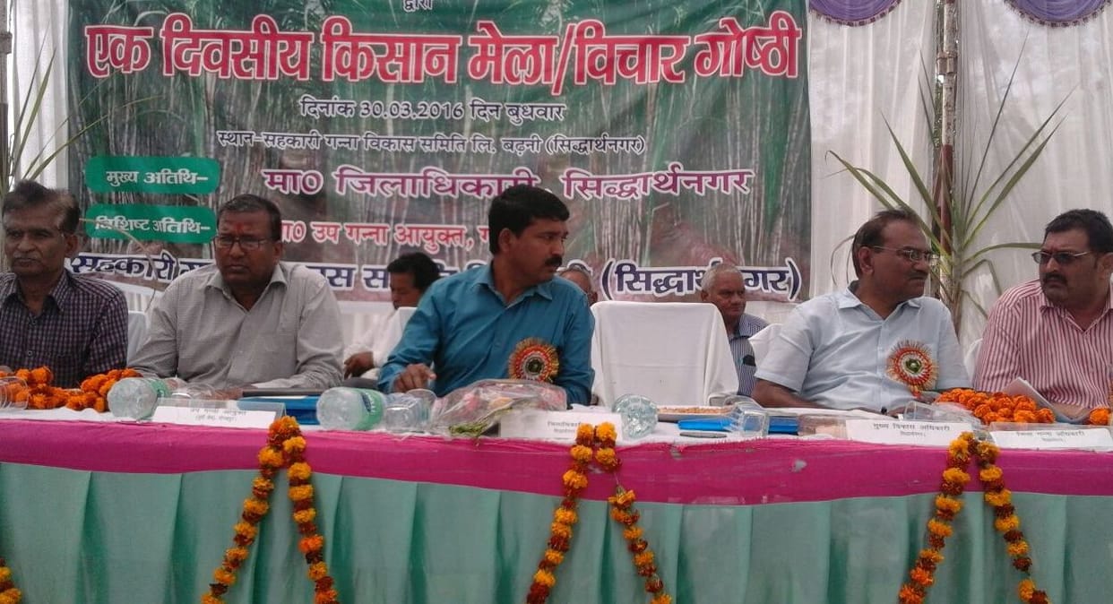 Profit Shfsli cultivate sugarcane farmers