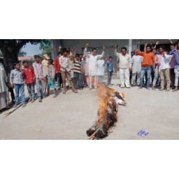 villagers, yamunanagar, haryana