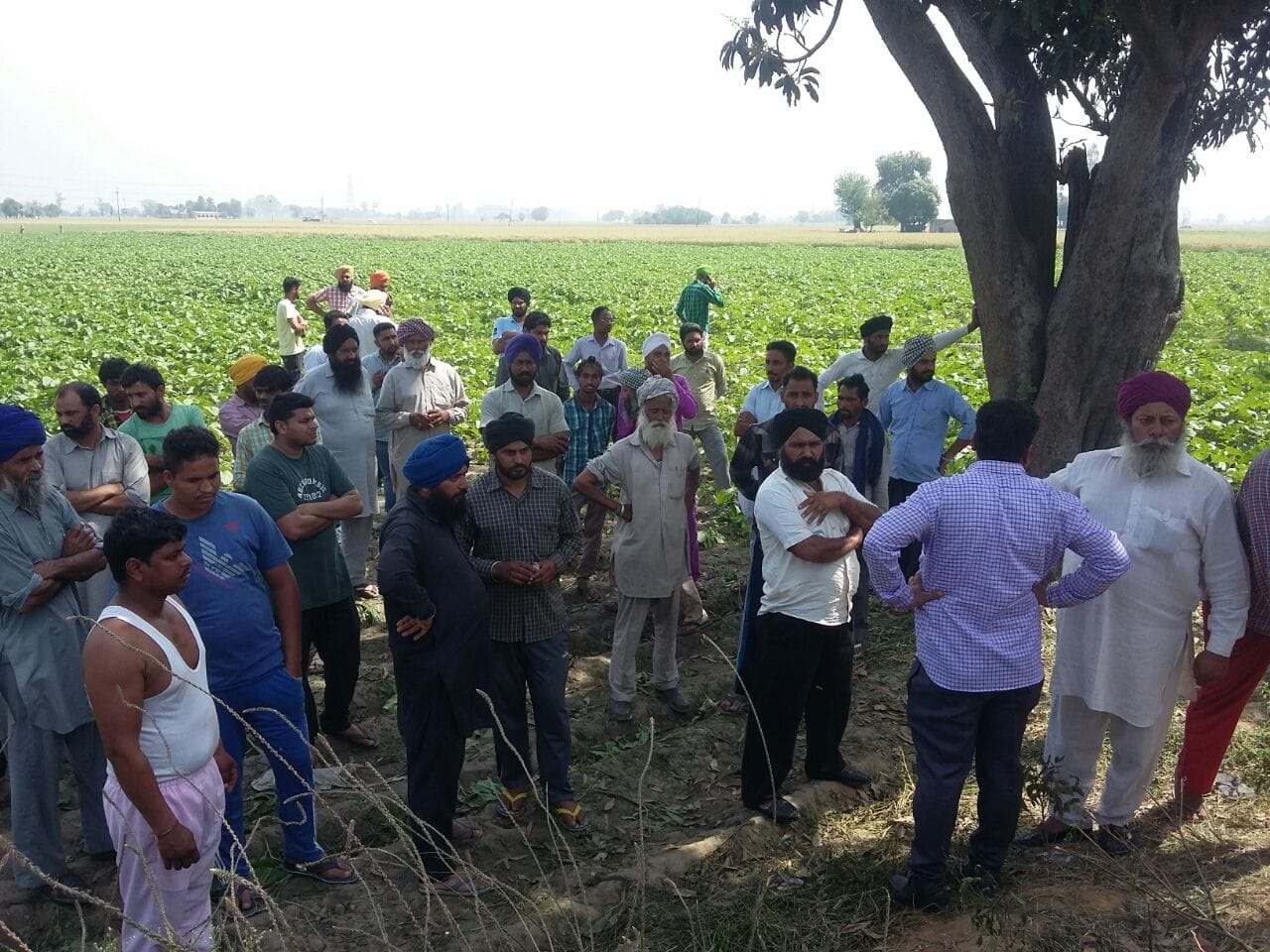bus accident, fatehgarh bus accident, school bus accident, nine student injured, fatehgarh