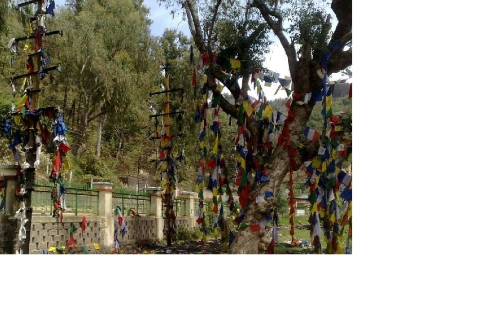 bodh religon flags set on fire