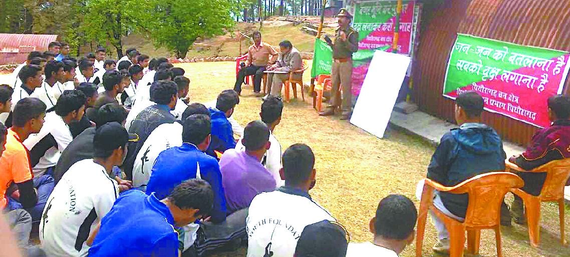 Protect forests from fire