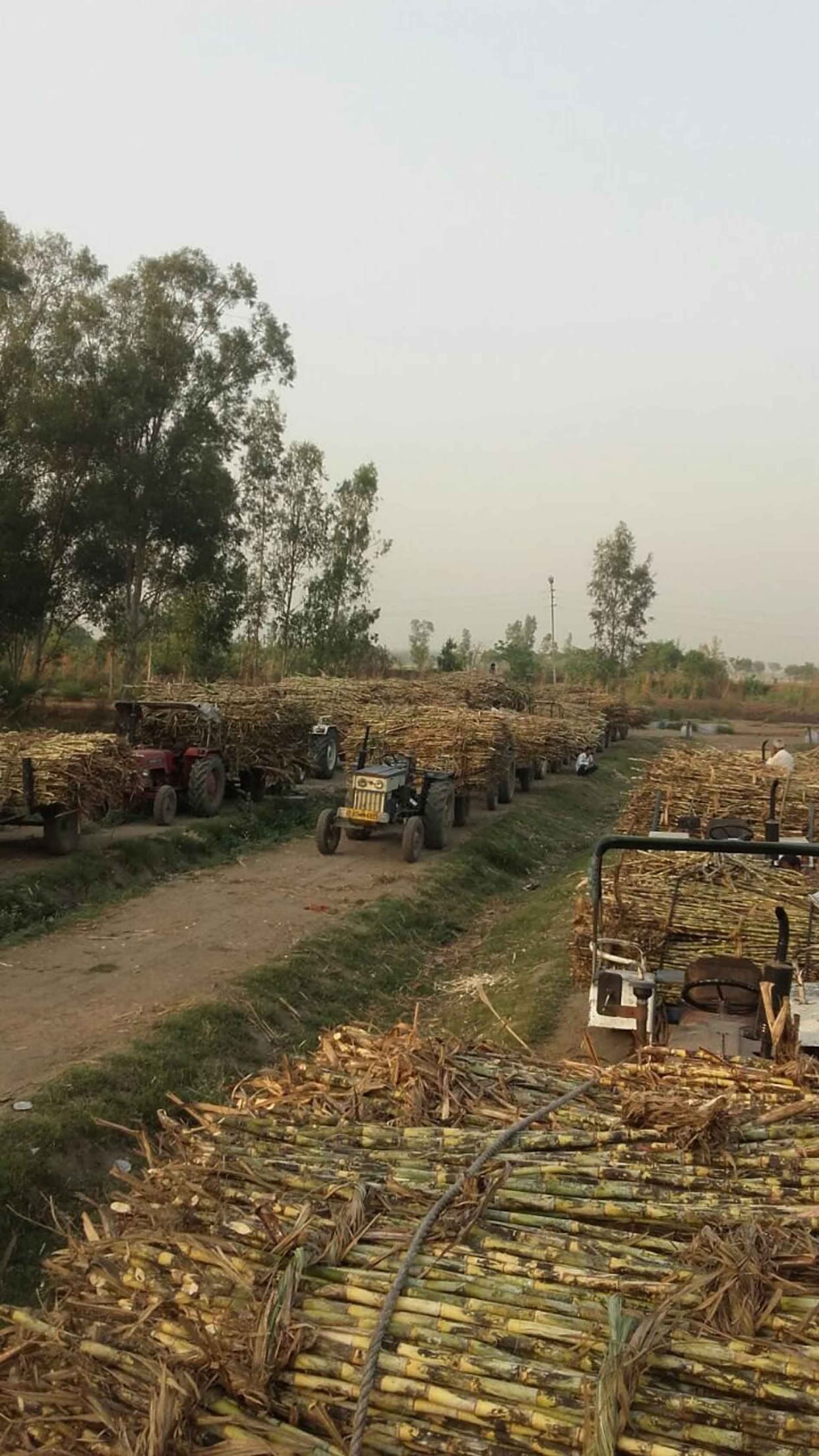 बहराइच: किसानों का 39 करोड़ रुपये दबाए बैठीं तीन चीनी मिलें
