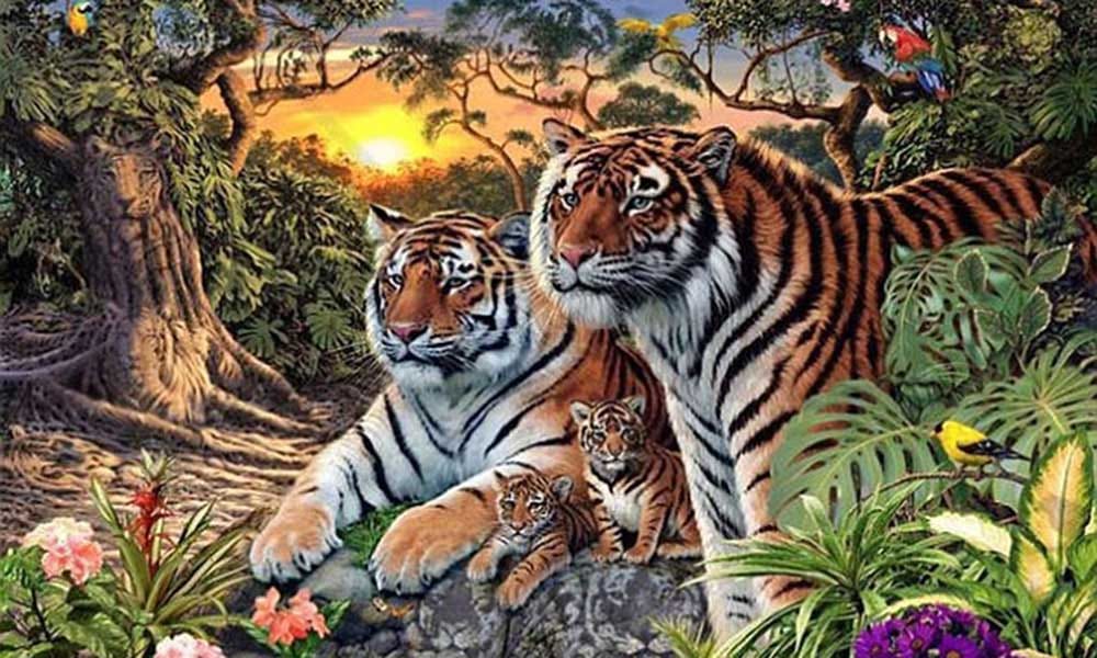 enough water for animal in rajaji park 
