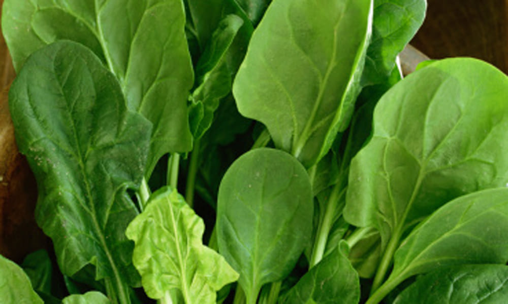 best food for liver cleaning