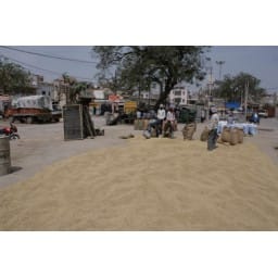 Jhajjar News, Hindi News,mandi, Jhajjar