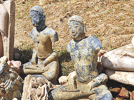 Jain sculptures found in fragmented farm