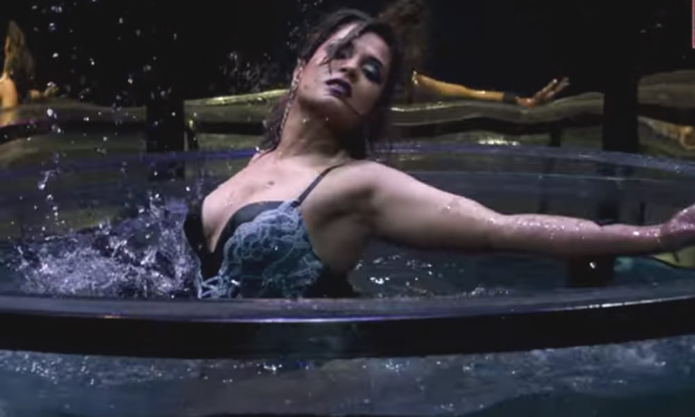 fukrey return actress richa chadha reveal her love for dasdev