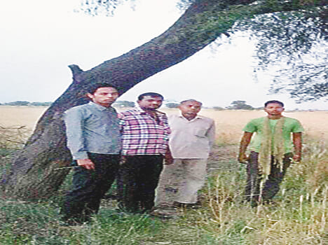 A crop farmer hanged