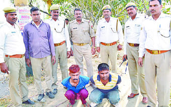 13 bulls rescued from animal smugglers