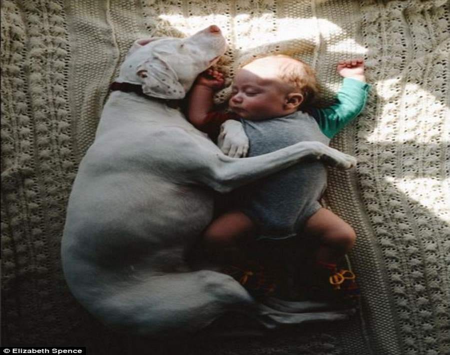 amazing bond between nora and child