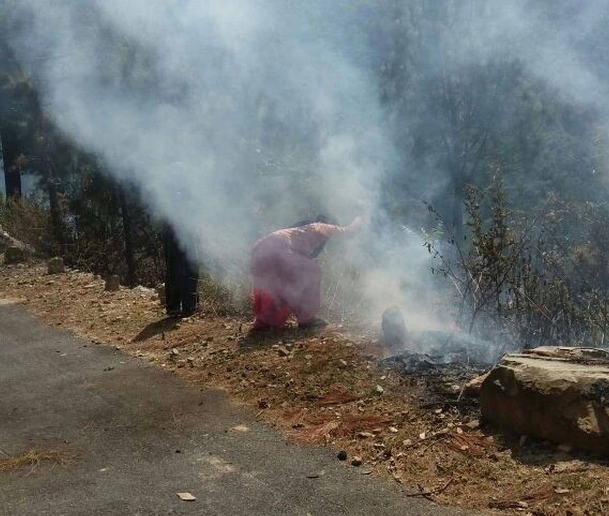 Flames are burning forest