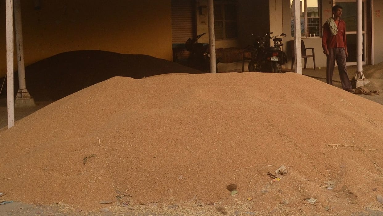 Not to purchase wheat procurement centers of FCI