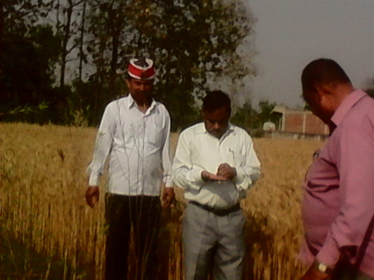 inspected the affected crops