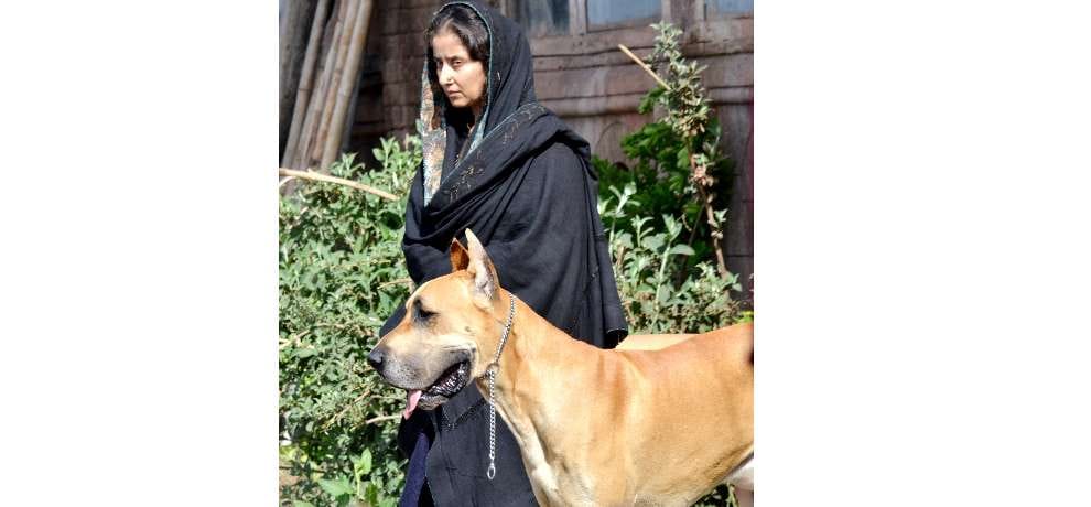 manisha koirala movie dear maya shooting in shimla