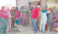 jind news, hindi news,wine