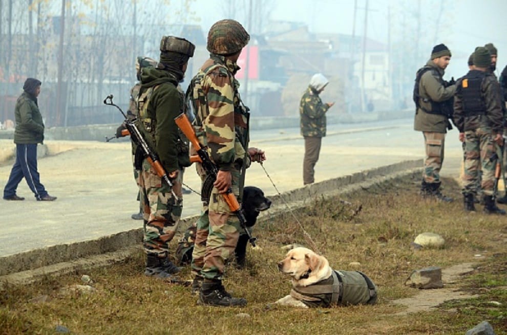 Trained sniffer dogs may accurately detect Covid infected airport passengers: Study