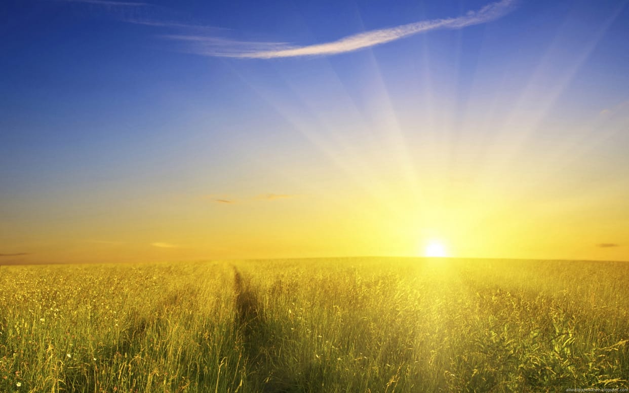 People suffering from sun