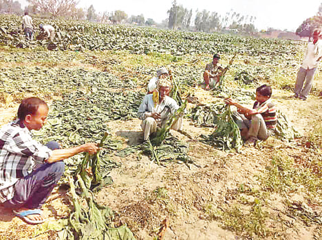 Kaymganj move water level, the crisis