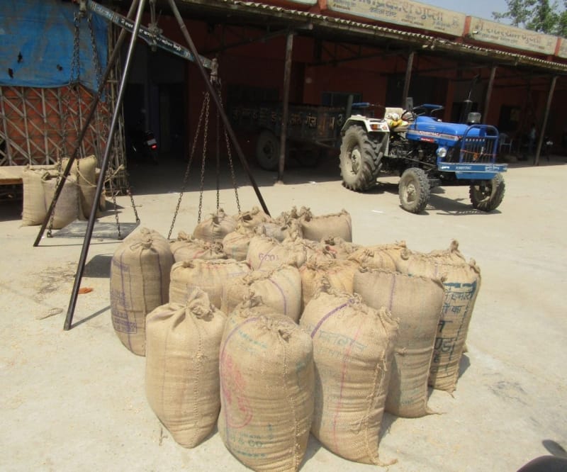 dm strict wheat procurement, sought an explanation from the SDM