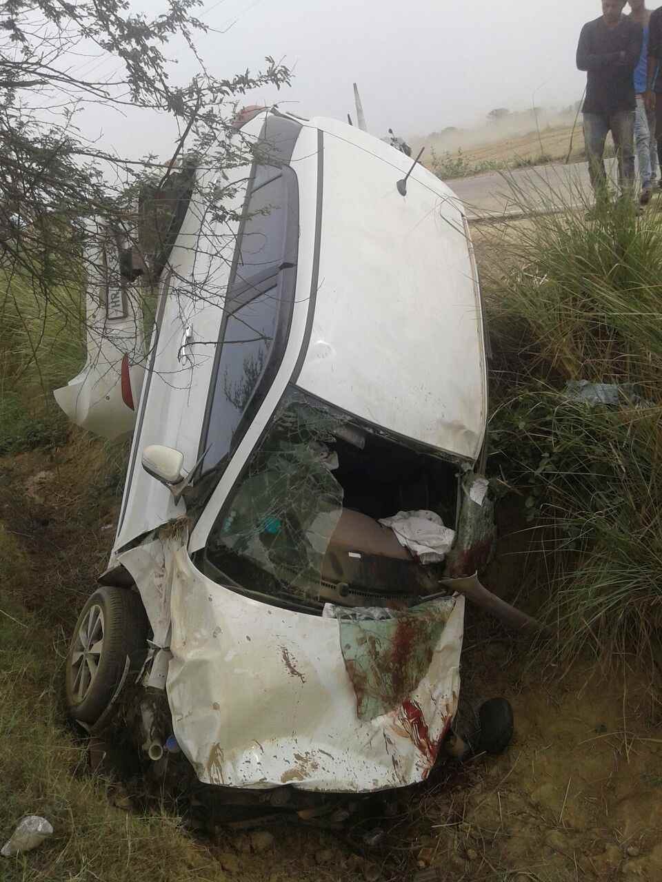 Nilgai upturned car collided with a death