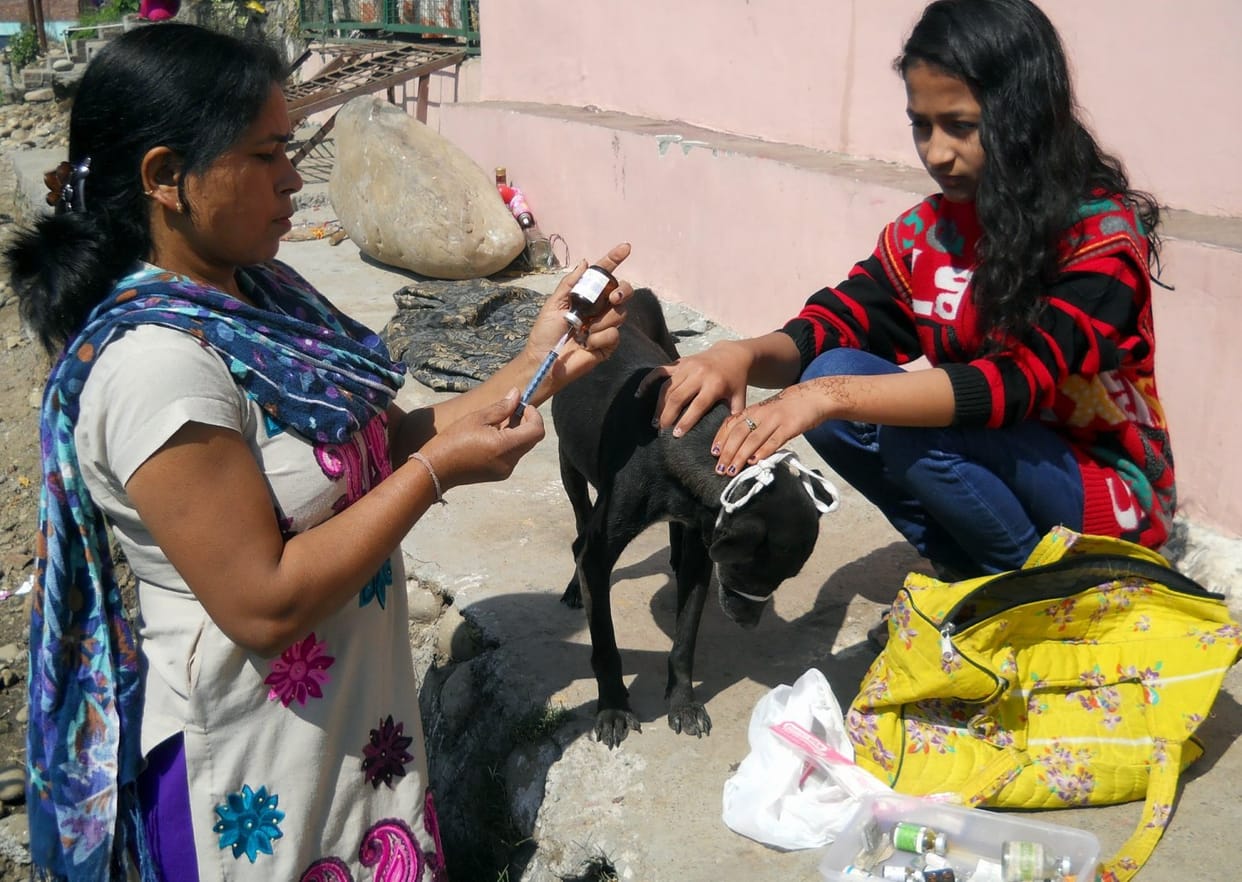 Cancer patient anita serves street animals