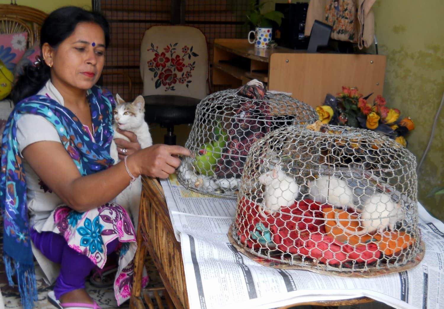Cancer patient anita serves street animals