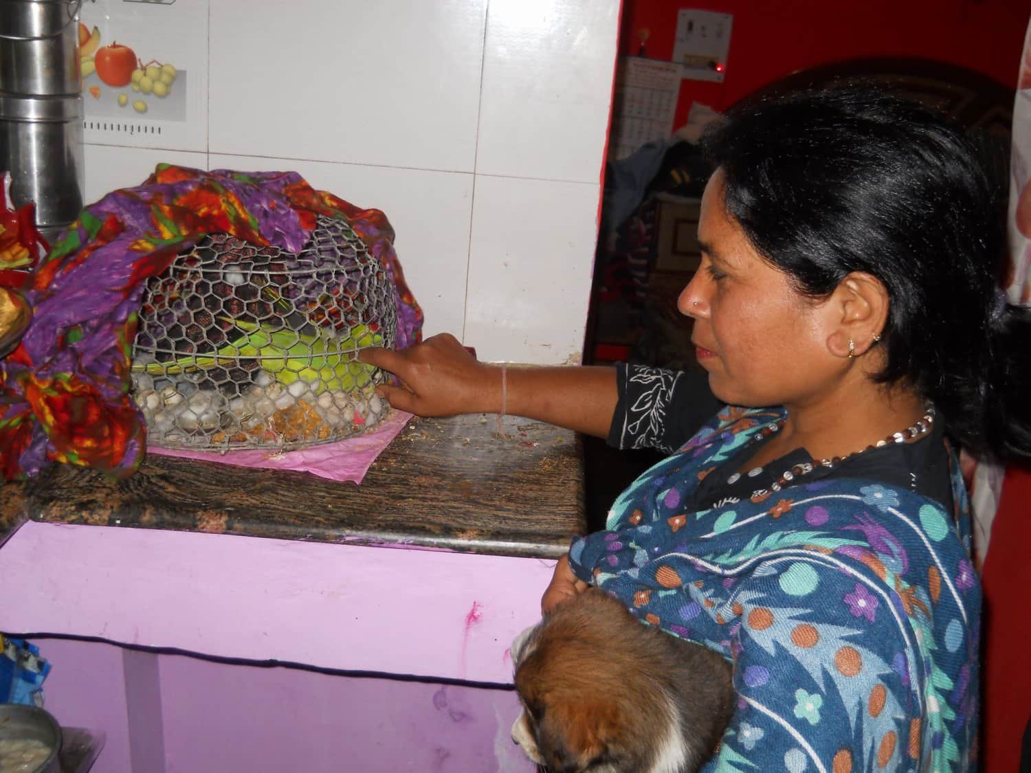 Cancer patient anita serves street animals