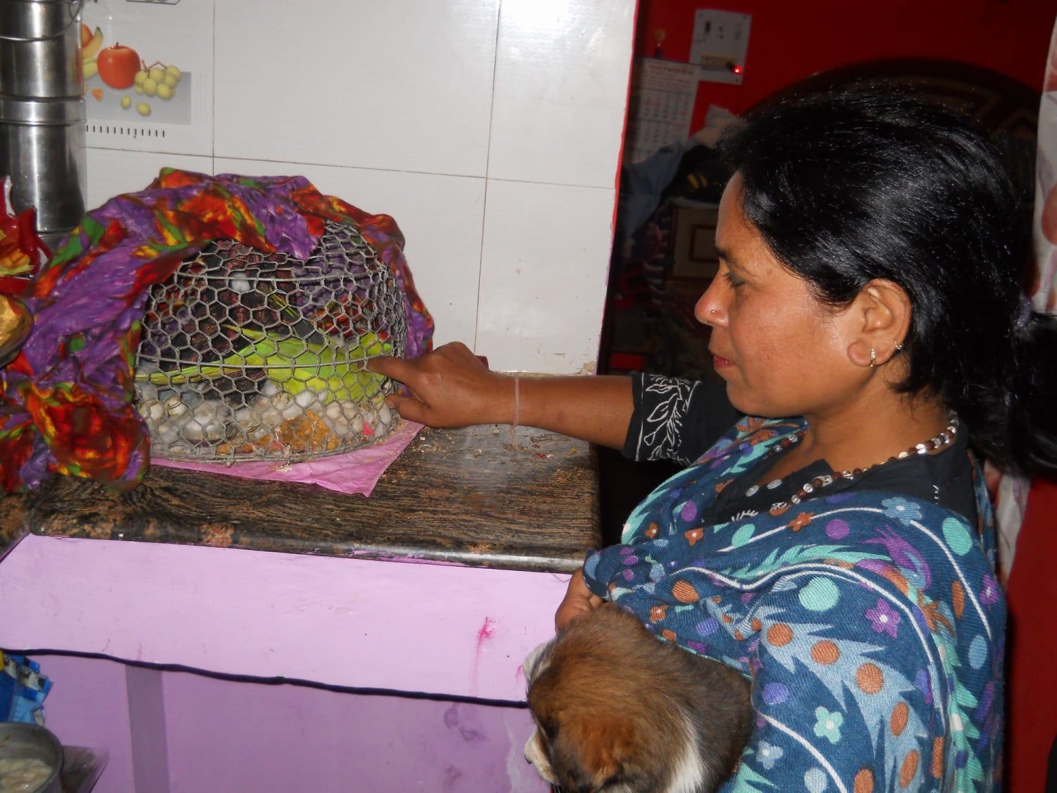 Cancer patient anita serves street animals