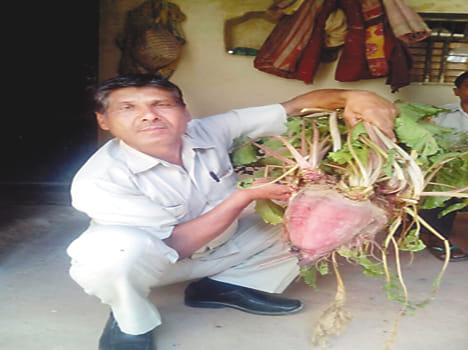 Nine kg of beetroot