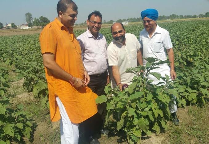 umeed di mashal, farming news, bashindey, gurpreet singh goldy, jalandhar, punjab
