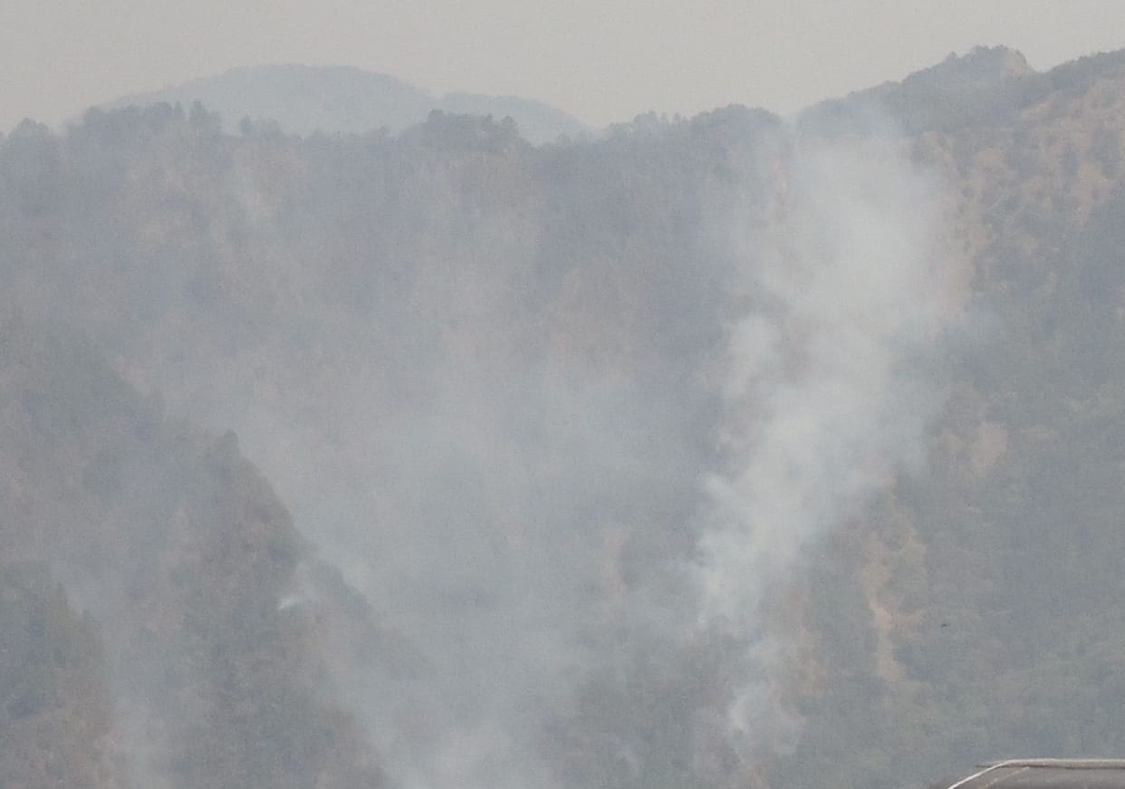 No concrete measures to extinguish forest fire erupted