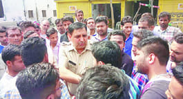 Its progeny carrying Sklapuri Road Ruckus