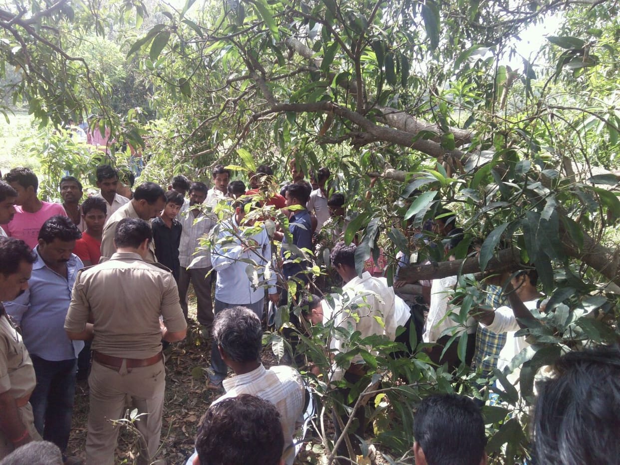 deadbody found hanging from mango tree