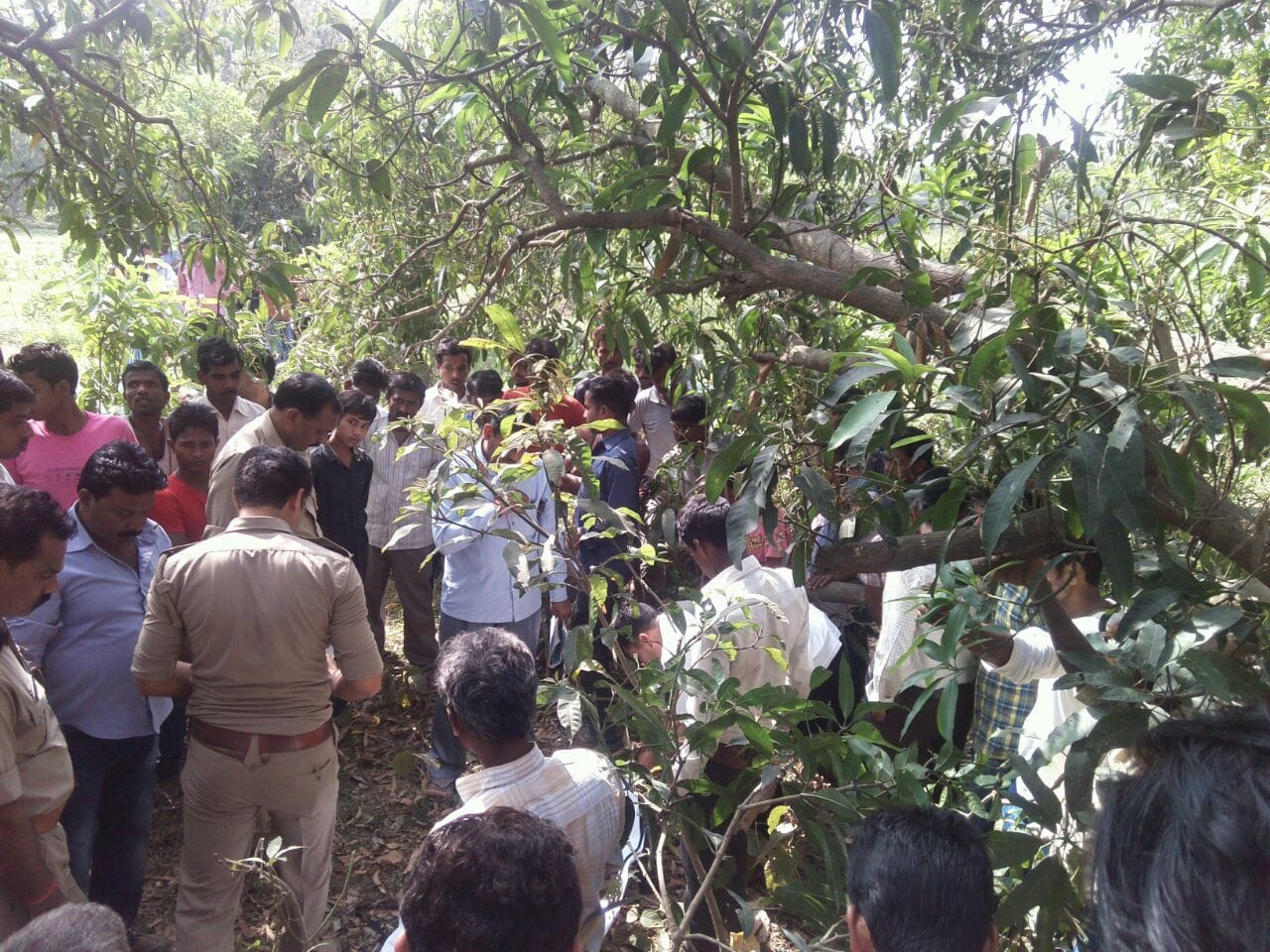 deadbody found hanging from mango tree