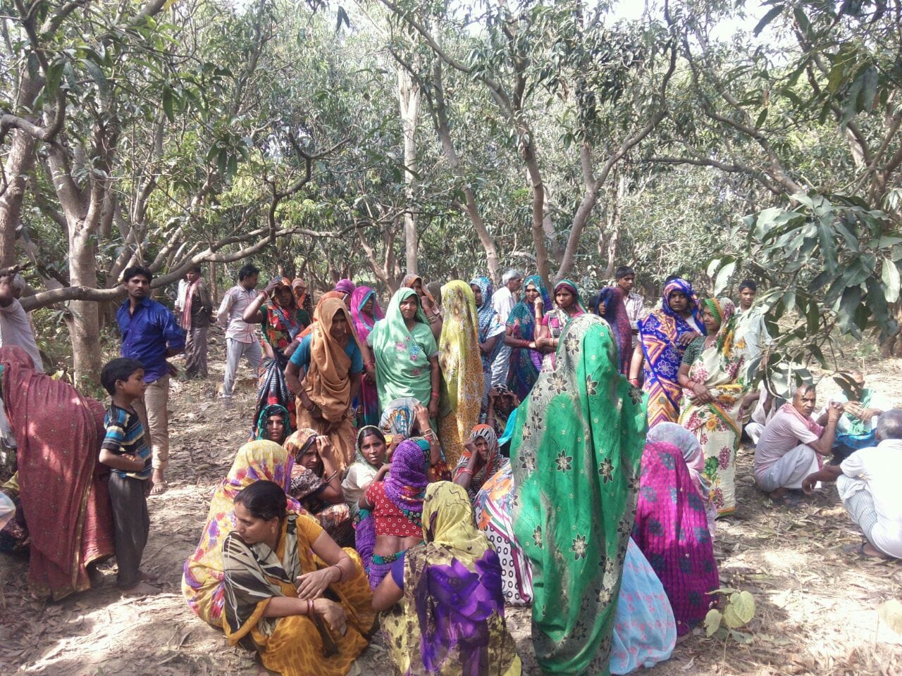 deadbody found hanging from mango tree