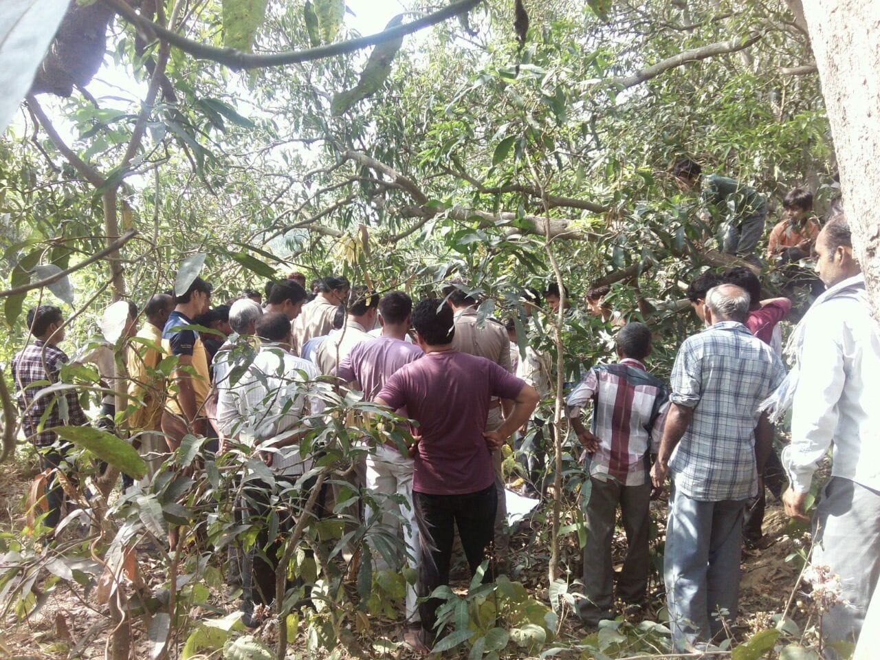 deadbody found hanging from mango tree