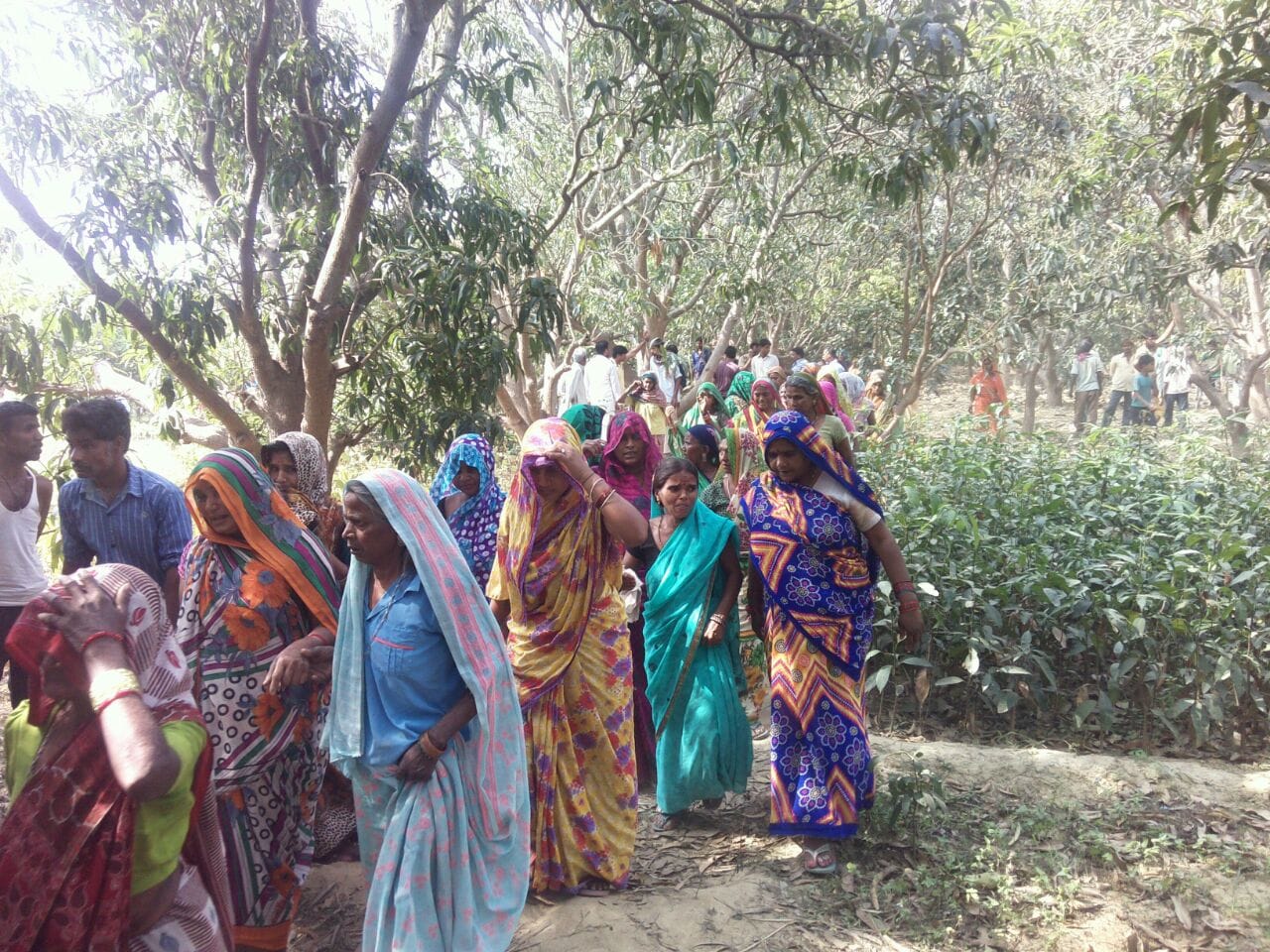 deadbody found hanging from mango tree