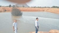 canal water in ponds, reilef, narnaul