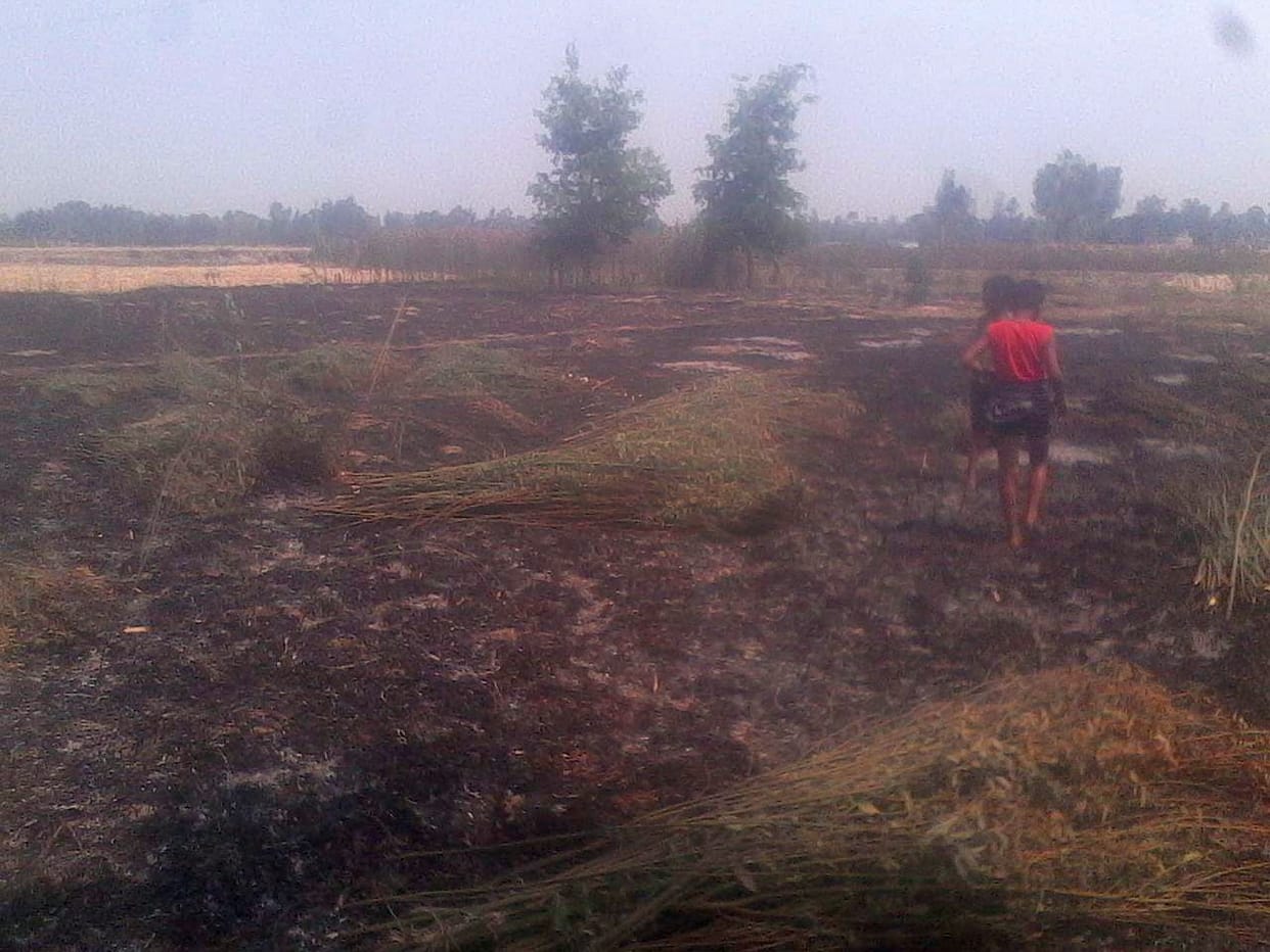 The fire burned 20 acres of crop