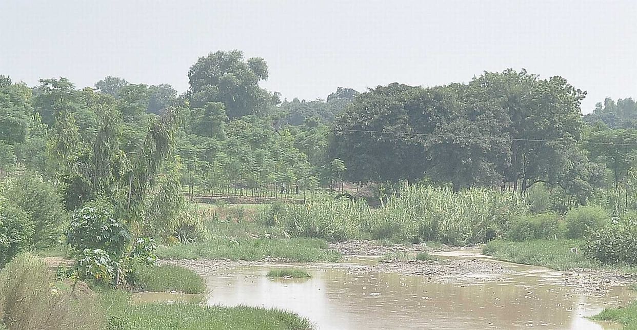 Started shrinking rivers are drying pond