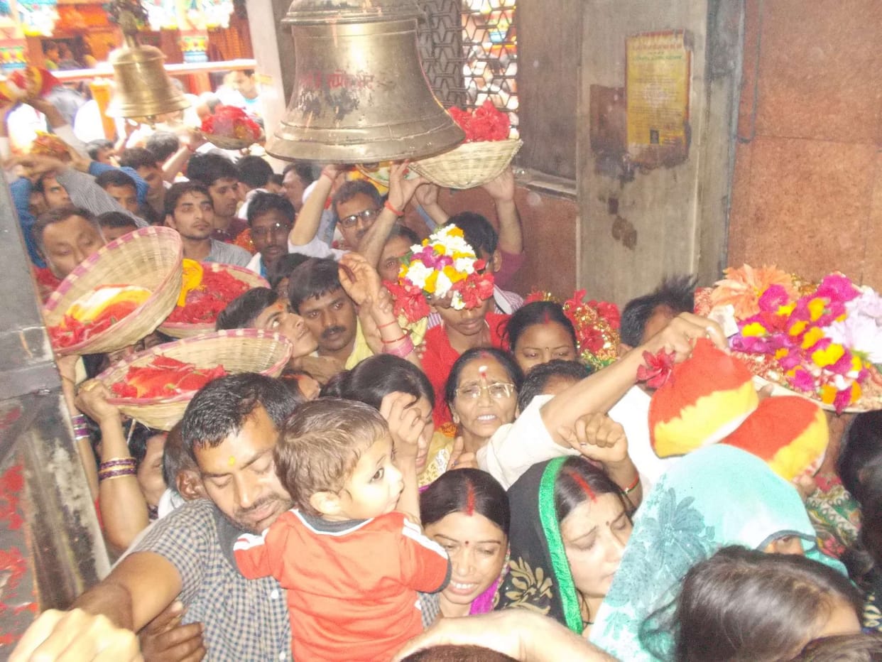 In philosophy there devotee Nihal