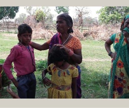 Flock of elephants kill a man in Bahraich.