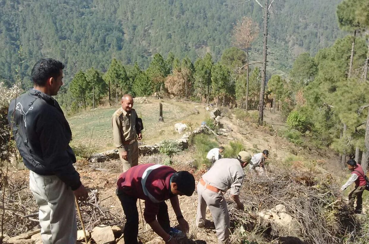 Forest Department removed illegal encroachments